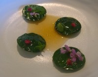 Shrimp and Nasturtium with Radish and Yeast