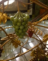 Herr Teufelskreis_20141123_16_01_38_Pro