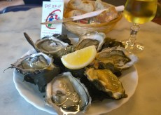 WP_20150616_12_45_09_Pro