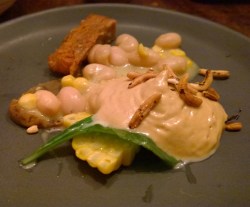 WP_20150911_19_38_56_Pro