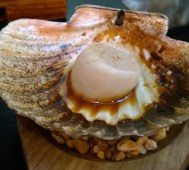 WP_20160521_20_20_29_Pro